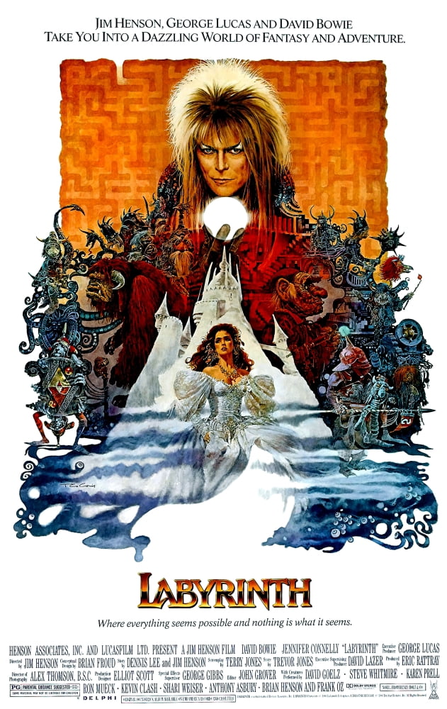 Labyrinth Canvas Art - (18 x 24)