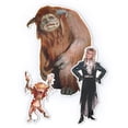thumbnail image 1 of Toy Vault TVT-70012-C Labyrinth 3-Piece Character Magnet Set, 1 of 5