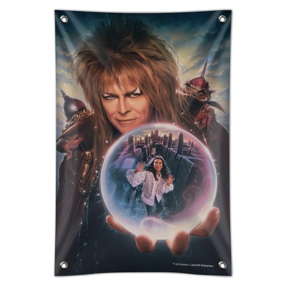 Labyrinth Crystal Ball Goblin King Jareth David Bowie Home Business Office Sign