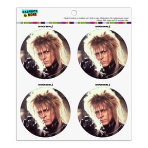 Labyrinth Goblin King Crystal Ball David Bowie Jareth Refrigerator Fridge Locker Vinyl Circle Magnet Set