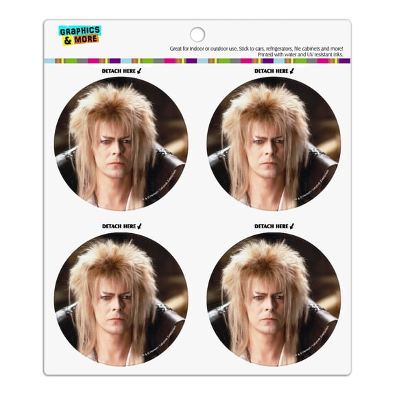 Labyrinth Goblin King David Bowie Portrait Refrigerator Fridge Locker Vinyl Circle Magnet Set