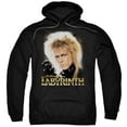 thumbnail image 1 of Labyrinth - Jareth - Pull-Over Hoodie - XXXX-Large, 1 of 2