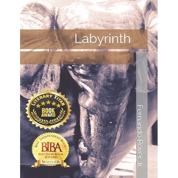 Labyrinth (Paperback)