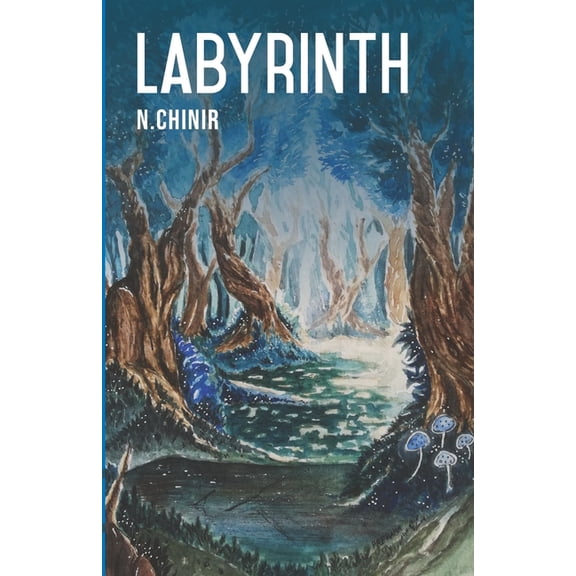 Labyrinth Paperback 9354380220 9789354380228 N. Chinir