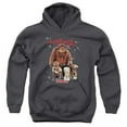thumbnail image 1 of Labyrinth-Should You Need Us Youth Pull-Over Hoodie- Charcoal - Medium, 1 of 1