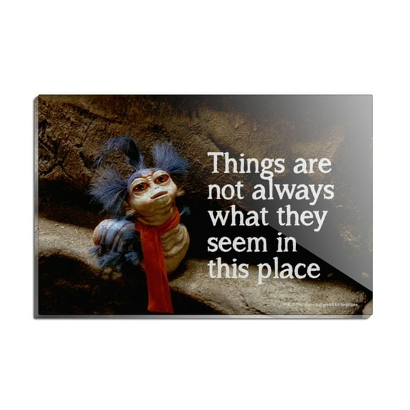 Labyrinth The Worm Quote Thing Are Not Always What They Seem In This Place Rectangle Acrylic Fridge Refrigerator Magnet