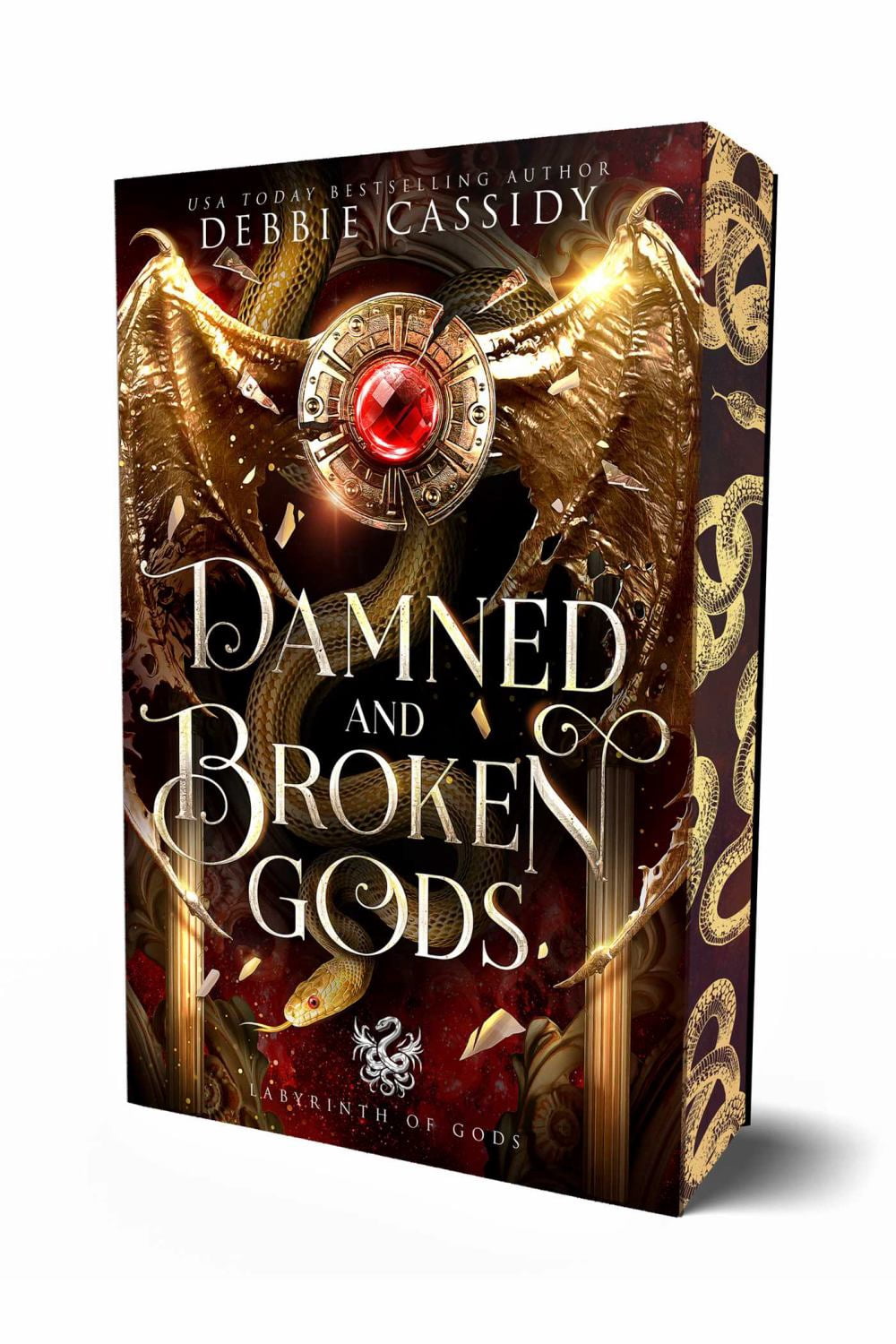 Damned and Broken Gods (Paperback)