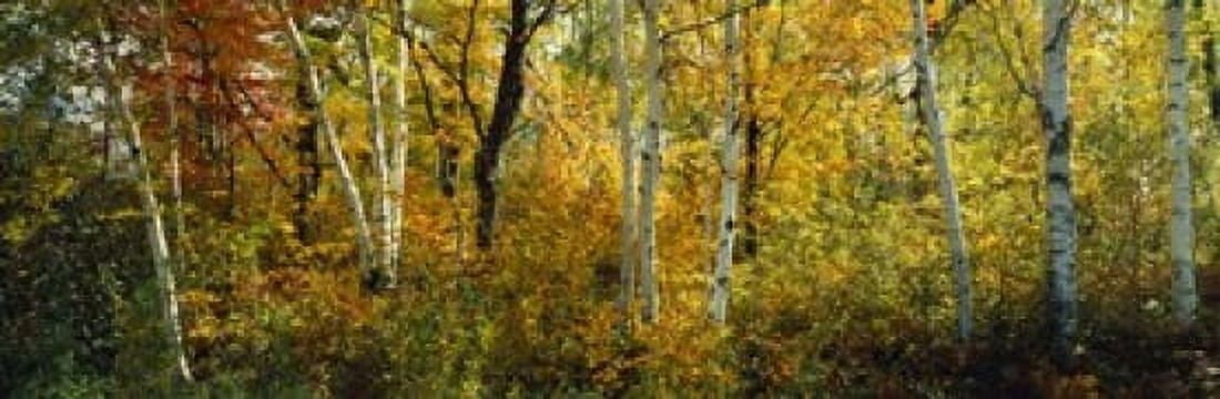 Lac Du Flambeau WI USA Canvas Art - Panoramic Images (18 x 6)