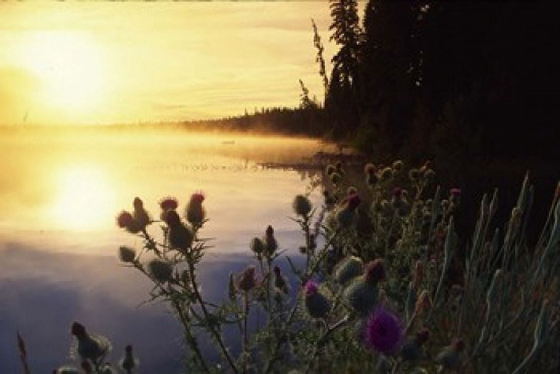Lac Lejuene Kamloops British Columbia Canada Canvas Art - Douglas Peebles DanitaDelimont (28 x 19)