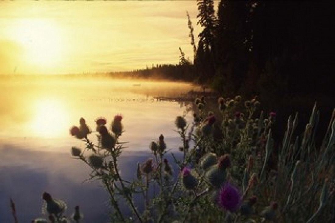 Lac Lejuene Kamloops British Columbia Canada Canvas Art - Douglas Peebles DanitaDelimont (36 x 24)