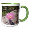 thumbnail image 1 of 3drose, Lace Cactus Succulent Flower, Texas - Na02 Rnu0174 - Rolf Nussbaumer, 15oz Two-tone Green Mug, 1 of 6