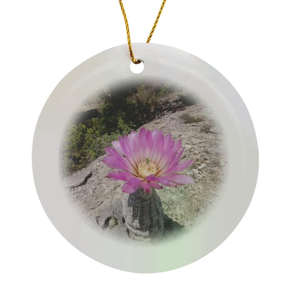 3drose, Lace Cactus Succulent Flower, Texas - Na02 Rnu0174 - Rolf Nussbaumer, Circle Porcelain Ornament