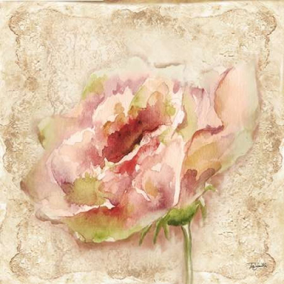 Lace Garden I Canvas Art - Tre Sorelle Studios (24 x 24)