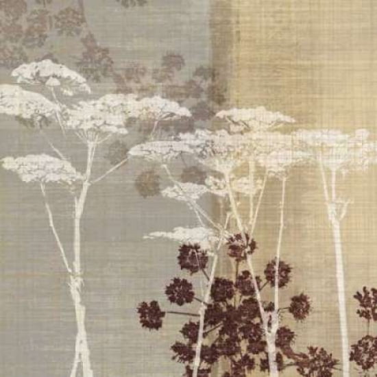 Lace I Canvas Art - Tandi Venter (24 x 24)