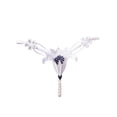 thumbnail image 1 of Lace T-Back Panty Breathable Thongs for Women Ladies Underwear Panties, 1 of 2
