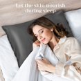 thumbnail image 1 of Lacette Silk Pillowcase 2 Pack for Hair and Skin, 100% Mulberry Silk, Double-Sided Silk Pillow Cases with Hidden Zipper (Deep Gray, standard Size: 20" x 26"), 1 of 9