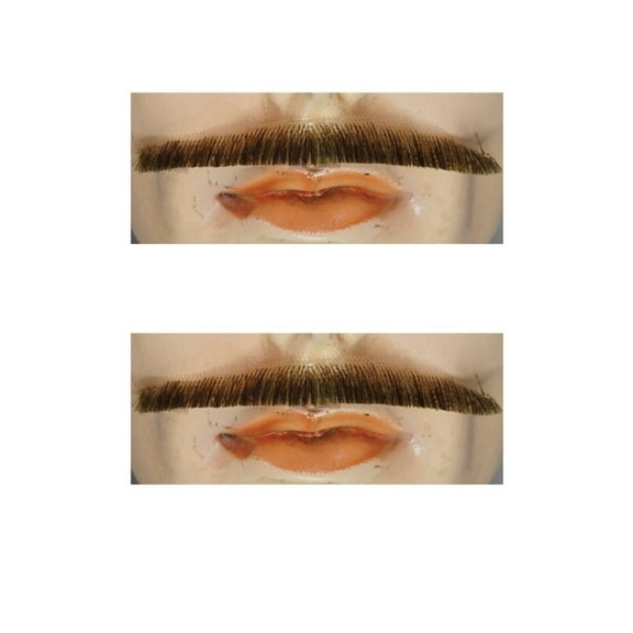 Morris Costumes LW465LCBN Blend Errol Flynn Mustache for Men