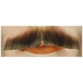 thumbnail image 1 of Lacey Wigs LW-470LBN Must M61 Hu Lt Bn 10, 1 of 2