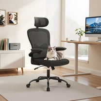 Lacoo Ergonomic Office Chair High Back Desk Mesh Chair Adjustable Lumber Support and Headrest with Flip up Armrest for Home Office, Black