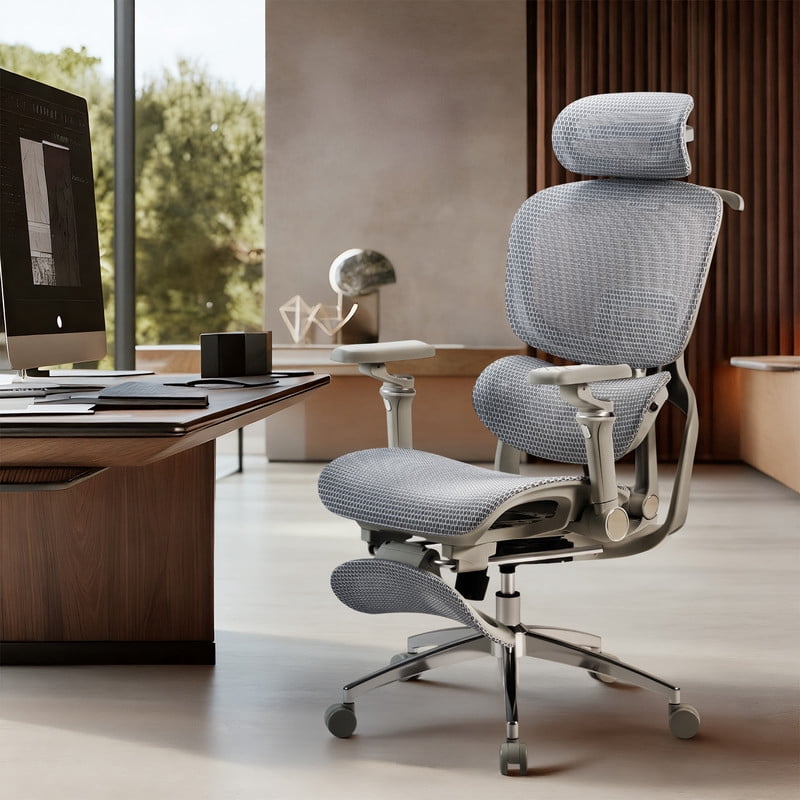 Lacoo Ergonomic Office Mesh Chair Executive High Back Computer Chair with Heated Massage Lumbar Support, 6D Armrest,Adjustable Headrest (Gray)