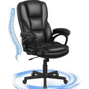 Lacoo Executive Office Chair , Ergonomic High Back Chair Cushion Lumbar Back Support for Adults(Black)