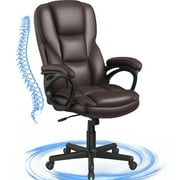 Lacoo Executive Office Chair , Ergonomic High Back Chair Cushion Lumbar Back Support for Adults(Brown)