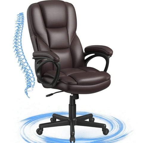 Lacoo Executive Office Chair , Ergonomic High Back Chair Cushion Lumbar Back Support for Adults(Brown)