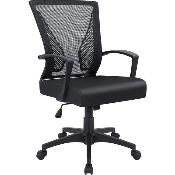 Lacoo Mid-Back Office Desk Chair Ergonomic Mesh Task Chair with Lumbar Support, Black