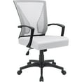 thumbnail image 1 of Lacoo Mid-Back Office Desk Chair Ergonomic Mesh Task Chair with Lumbar Support, White, 1 of 7