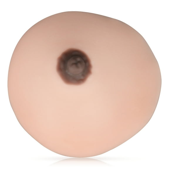 Lactation Breast Model, Artificial Breast for Breastfeeding