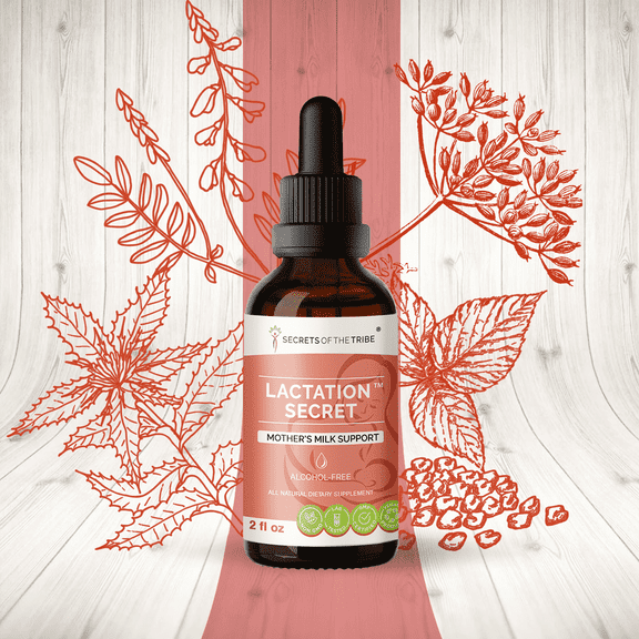 Secrets Of The Tribe Lactation Secret Blend Tincture Dietary Supplement, Natural Extract, Made from Fenugreek, Blessed Thistle, Goat's Rue, Red Raspberry, Fennel Seed. Mother's Milk 2 oz
