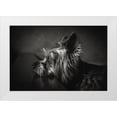 thumbnail image 1 of Lacz, Krisztina 18x13 White Modern Wood Framed Museum Art Print Titled - I Have Been Waiting For You ..., 1 of 4