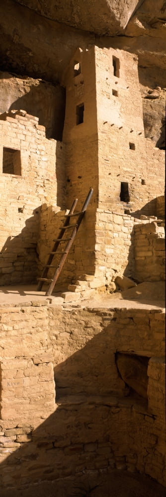 Ladder at house Cliff Palace Mesa Verde National Park Colorado USA Canvas Art - Panoramic Images (27 x 9)