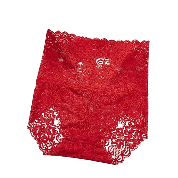 Ladies High Waist Lace Panties New Women's Plus Size Transparent