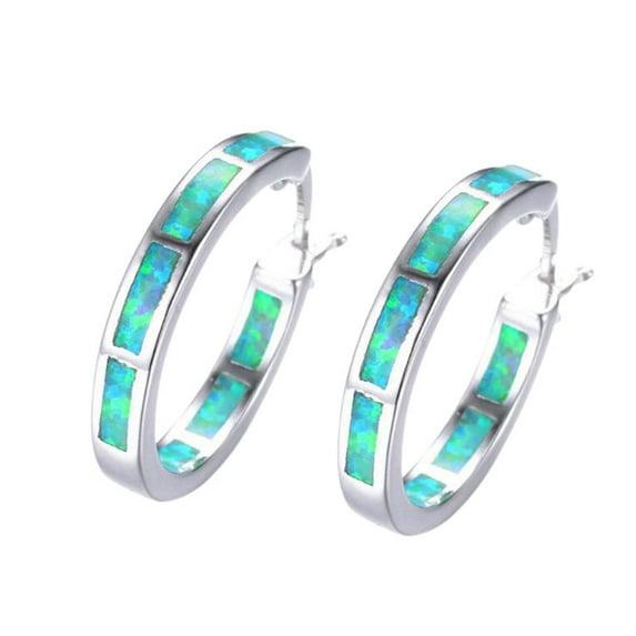 Ladies Round Earrings Ladies Jewelry Accessories Sensitive Ear Hypoallergenic Gemstone Earrings Door Knocker Earrings Bling Earrings Women S Earrings Trendy Dangle Earrings Big Earring