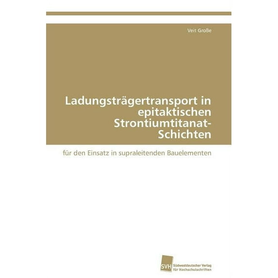 Ladungstragertransport in Epitaktischen Strontiumtitanat-Schichten