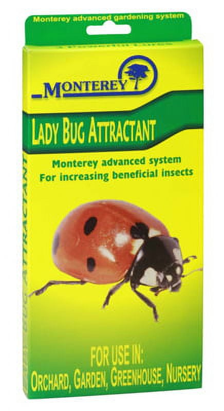Lady Bug Lure Use To Attract The Beneficial Lady Bugs To Help Control 