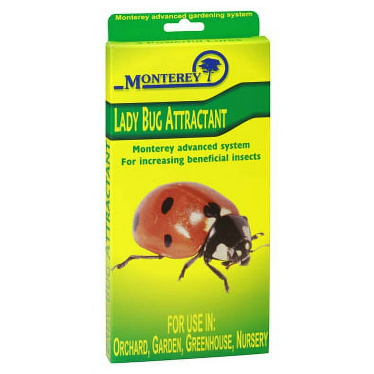 Lady Bug Lure Use To Attract The Beneficial Lady Bugs To Help Control