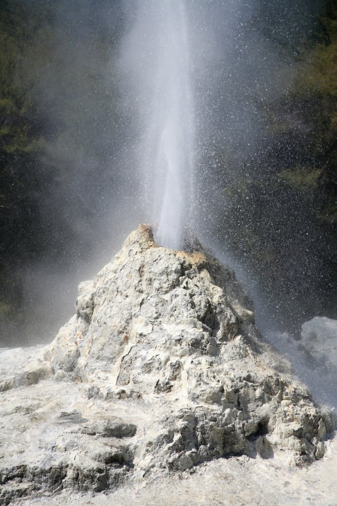 Lady Knox Geyser Wai-O-Tapu Geothermal area Taupo Volcanic Zone New Zealand Canvas Art - Richard RoscoeStocktrek Images (12 x 18)
