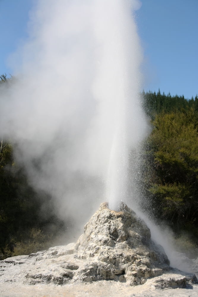 Lady Knox Geyser Wai-O-Tapu Geothermal area Taupo Volcanic Zone New Zealand Canvas Art - Richard RoscoeStocktrek Images (23 x 35)