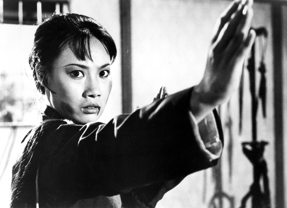 Lady Kung Fu Canvas Art - (28 x 22)