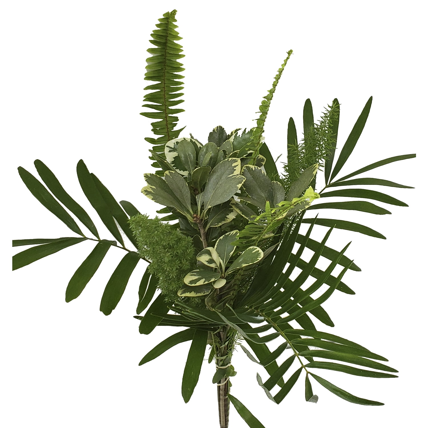 Lady Mixed Greens Bouquet 10 Pack of Farm Direct Fresh Cut Flowers