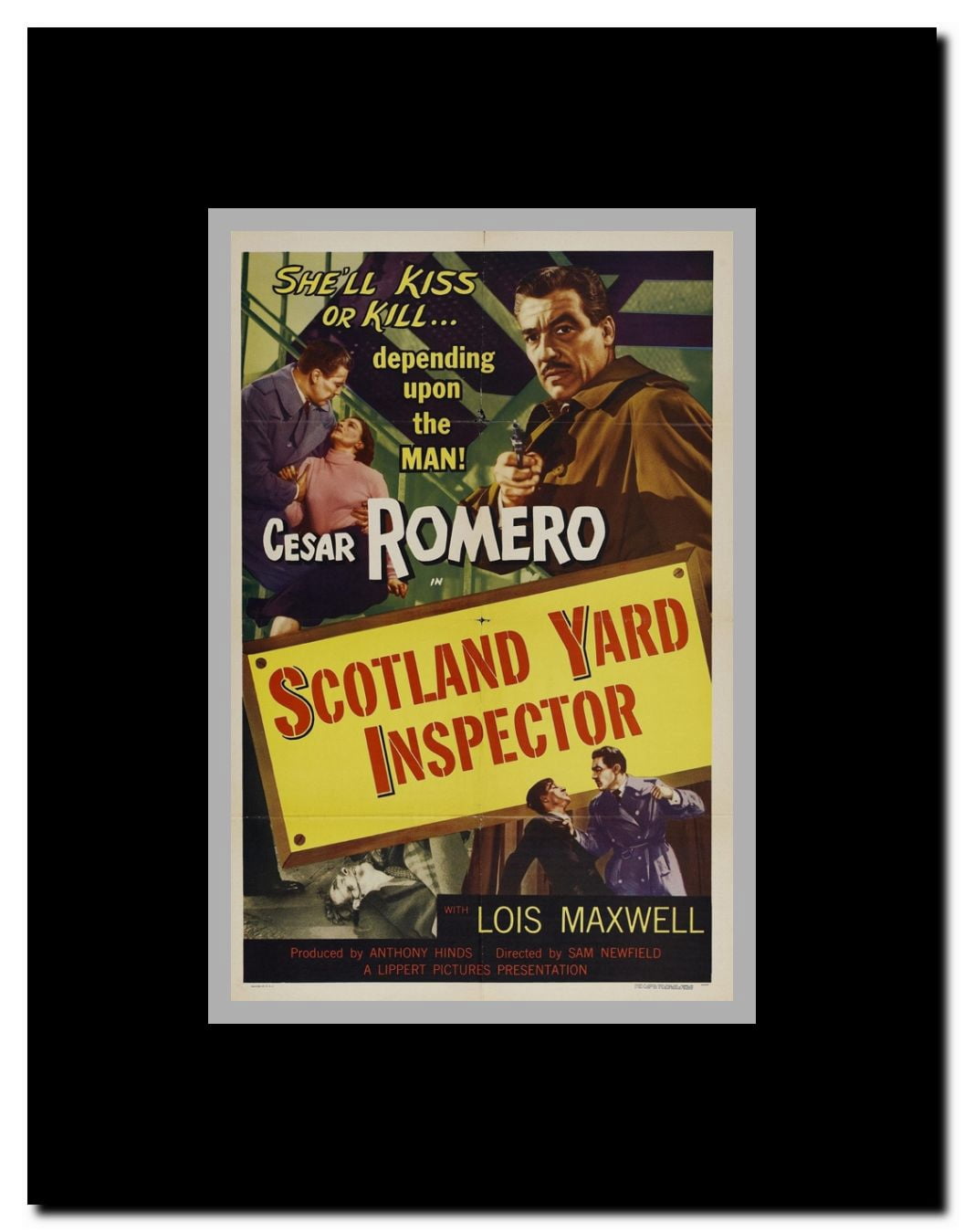 Lady in the Fog Framed Movie Poster