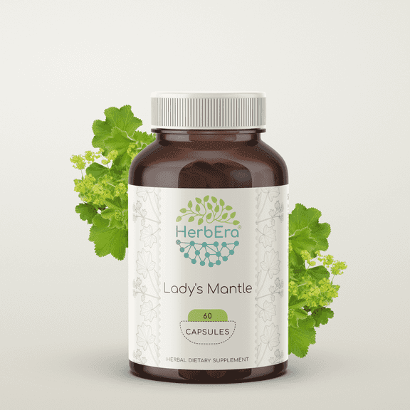 HerbEra Lady's Mantle Capsules, Herbal Dietary Supplement for Hormonal Balance Support, Lady's Mantle (Alchemilla vulgaris) Dried Herb Capsules, Natural, 60 Capsules