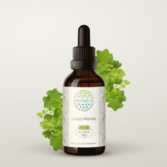HerbEra Lady's Mantle Tincture, Herbal Dietary Supplement for Hormonal Balance Support, Lady's Mantle (Alchemilla vulgaris) Dried Herb Extract, Natural, Alcohol-Free, Drops 2 oz