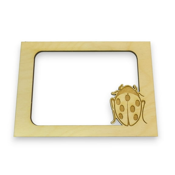 LadyBug Photo frame insert (FRAME NOT INCLUDED)