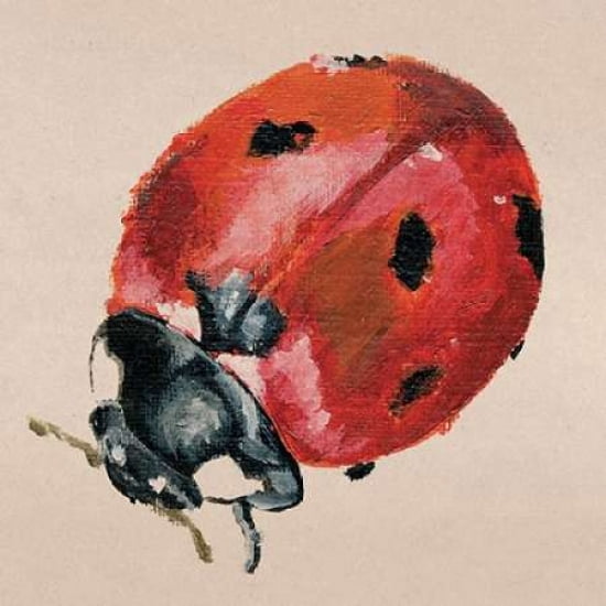 Ladybird Canvas Art - Lily Greenwood (24 x 24)