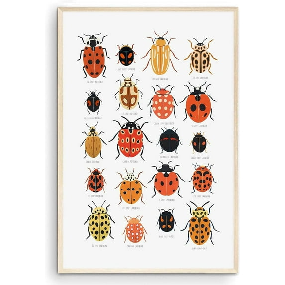Ladybird Identification Poster, Nursery Wall Art, Beetle Print, Kids Room Decor, Gift for Classroom, School - (Unframed, 9 x 11 inches)