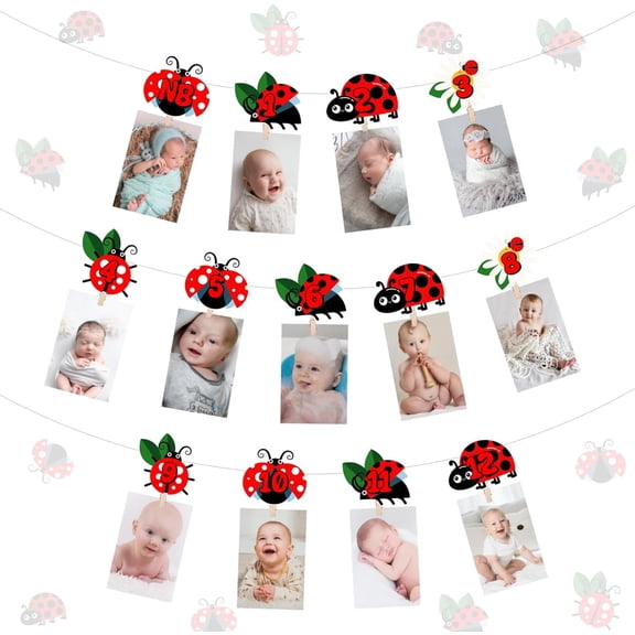 Ladybug 1st Birthday Decorations Ladybug Photo Banner Ladybug Theme Party Decorations Hanging Decoration Ladybird Birthday Decorations Ladybug from Newborn to 12 Month First Year Photo Banner