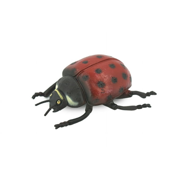 Ladybug, Beetle, Coccinellidae, Lady bug, Rubber Insect, Educational, Toy, Kids, Realistic Figure, Lifelike Model, Figurine, Replica, Gift, 5" ABC08 B262